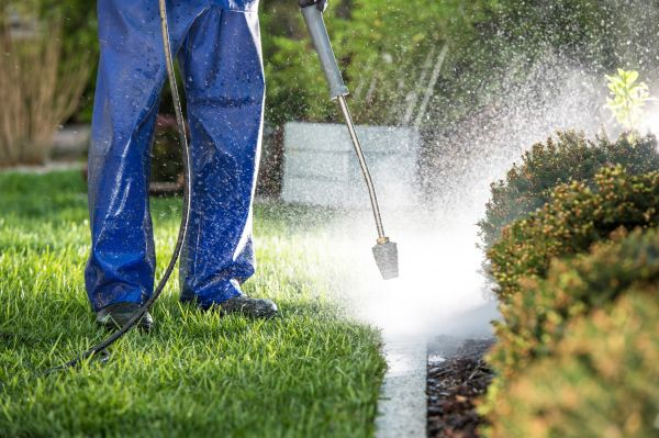 Curb Cleaning in Vista