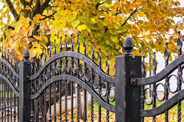 Wrought Iron Fence Washing in Vista