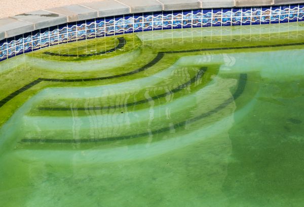 Pool Deck Algae Removal in Vista