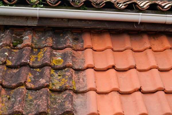 Industrial Roof Cleaning in Vista
